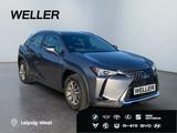Lexus UX 250h LAUNCH EDITION *SHZ*PDC*RCam*ACC* - Lexus aus 2019