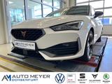 Cupra Leon SP 2.0 TDI DSG Navi LED Rückfahrkamera - Cupra Leon mit Diesel-Antrieb: Automatik