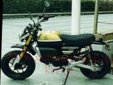 Skyteam Others X-BONGO 125 BLACK-EDITION, ABS Euro 5+ - SKYTEAM MOTORRAD