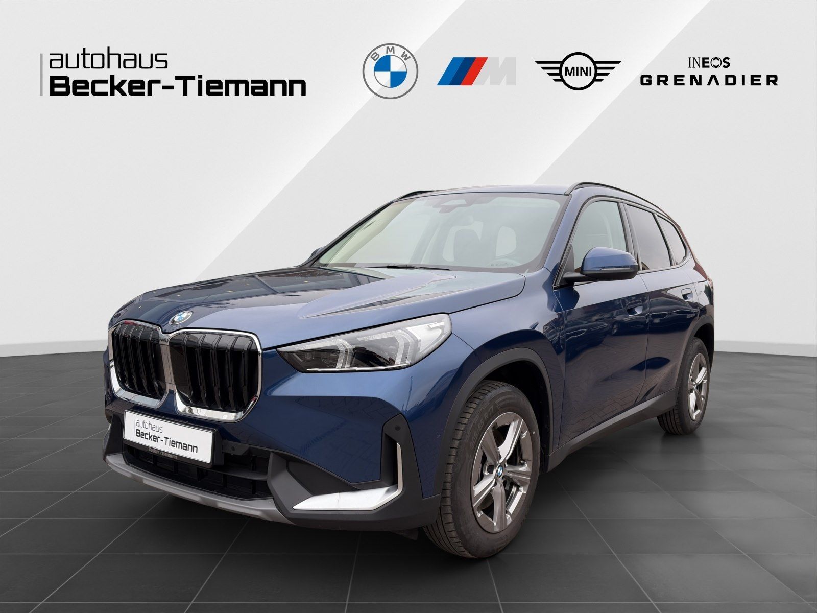 BMW X1 sDrive20i AHK ParkAss Adapt. LED Lenkradhz