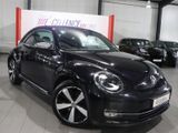 Volkswagen Beetle 1.4 TSI DESIGN FENDER EDITION / XENON / - : Schaltgetriebe