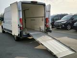 Fiat Ducato L4H2 GFK-Hygiene Ausbau+Rampe - Fiat Ducato: Kombi