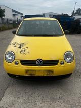Volkswagen Lupo 1.0 BASIS TÜV+AU 02/2028 - VW Lupo Gebrauchtwagen in Hannover