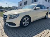 Mercedes-Benz Mercedes E220 d T Taxi Avantgard Motor  167800km