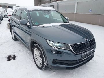 Skoda Kodiaq Style 4x4+LED+Pano+Stdhzg.+Navi+AHK