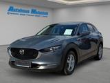 Mazda CX-30 Selection SKY.-X 180 Navi Leder Memory Sit - graue Mazda CX-30