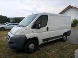 Fiat Ducato L1H1  Transporter 2.3 115PS Kl... - Fiat: Transporter