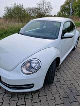 Volkswagen VW Beetle Käfer - Volkswagen: Sportwagen, Kaefer