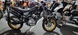 Rieju TANGO SCRAMBLER 125i E5 CBS s22 schwarz - RIEJU TANGO 125I SCRAMBLER