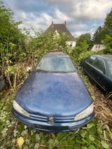 Peugeot  406 Kombi 2.0 16V (1998) 132 PS  - Peugeot 405 mit Benzin-Antrieb: Kombi