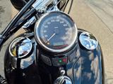 Harley-Davidson Softail Slim | 5HD | TÜV & Große - Angebote