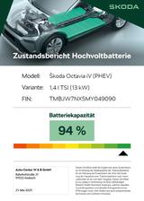 Skoda Octavia Combi First Edition iV - Skoda Octavia: Edition