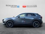 Mazda CX-30 Nagisa 2,5l Automatik Teil-Leder/Navi/BOSE - Mazda CX-30 mit Hybrid-Antrieb: Geländewagen