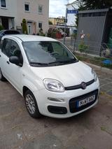 Fiat LPG-Gasanlage ab Werk (Autogas) Klima LED 1.Hand - Fiat Panda mit LPG-Antrieb: Kleinwagen