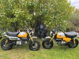 Honda Monkey 125 - HONDA MONKEY 125