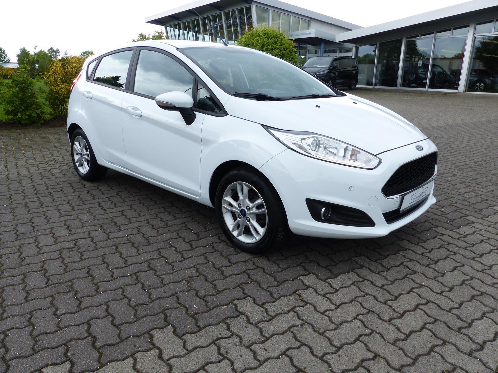 Ford Fiesta 1.0 EcoBoost Celebration Winter-Paket+AHK