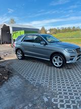 Mercedes-Benz Mercedes ML 250 - Mercedes-Benz ML 250: Privatanbieter