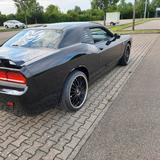 Andere Dodge Challenger RT - Andere mit Benzin-Antrieb: Coupe
