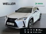 Lexus UX 250h Style Edition *Bi-LED*ACC*CAM*SHZ*CarPla - Lexus UX in Wuppertal