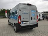 Fiat E Ducato - Fiat Elektro Kastenwagen