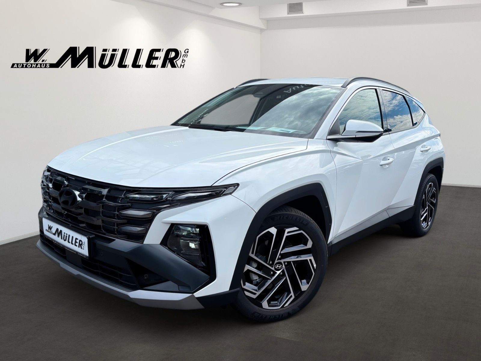 Fahrzeugabbildung Hyundai Tucson Prime *ALLRAD*