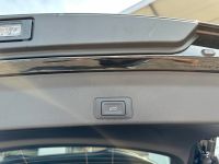 CUPRA Terramar 2.0 TSI VZ DSG 4Drive PANO AHK 5J GAR bei Autohaus Landmann & Maier OHG