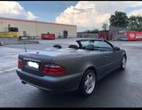 Mercedes-Benz CLK 430 V8 Avantgarde"Cabrio"TÜV-NEU"TOP" - Mercedes-Benz CLK 430 Gebrauchtwagen