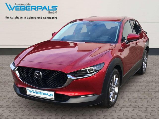 Mazda CX-30 Selection 2WD-NAVI-MATRIX-LED-BOSE-360 KAM