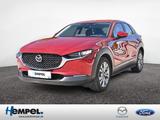 Mazda CX-30 2.0 Selection 2WD SHZ ACC HUD AID LED 360° - Mazda in Braunschweig
