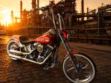 Harley-Davidson Softail Custom  - MOTORRAD AUS DEM JAHR 2007