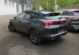 Cupra Formentor 2.0 TDI // Pano, ACC, 360°, Top! - Cupra Formentor in Wuppertal