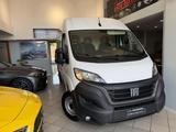 Fiat FIAT Ducato (4a serie) (2006) Ducato 33 2.2 Mjt  - Fiat Ducato: Serie