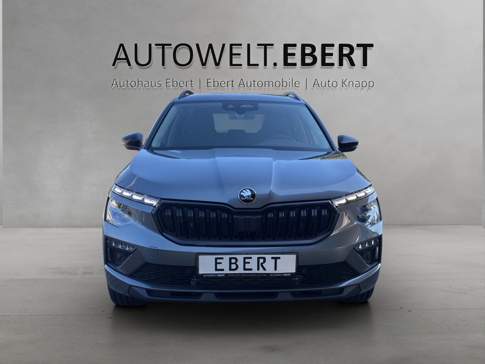 Fahrzeugabbildung SKODA Kamiq Balance 1,0 TSI 85 kW DSG AHK/MATRIX/ACC/