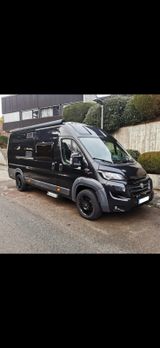 Karmann Davis 620  All Terrain Paket - Motorradtransport - Offers matching your search criteria