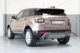 Land Rover Range Rover Evoque SE~Navi~SZH~Tempomat~Panorama - Land Rover Range Rover Evoque in Ludwigshafen