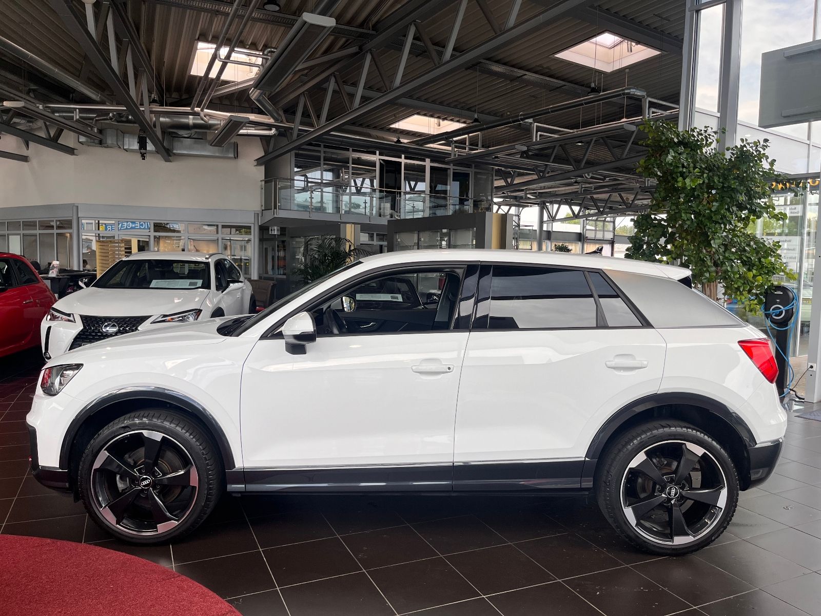 Fahrzeugabbildung Audi Q2 35 TFSI sport NAV SHZ 19"