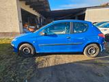 Peugeot 206 Petit Filou - gebrauchte Peugeot 206 aus dem Jahr 2005