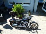 Harley-Davidson Low Rider ST1 Softail (Bj. 2019) - HARLEY-DAVIDSON LOW RIDER
