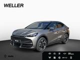 Cupra TAVASCAN ENDURANCE 210 K Bluetooth Navi LED