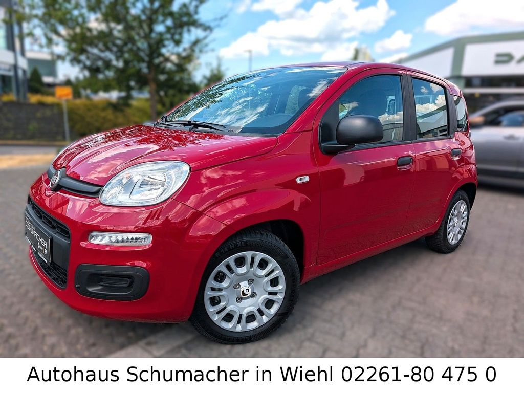 Image of Fiat Panda