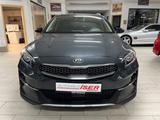 Kia XCeed Platinum Edition Navi DAB Temp PDC - Kia XCeed Gebrauchtwagen