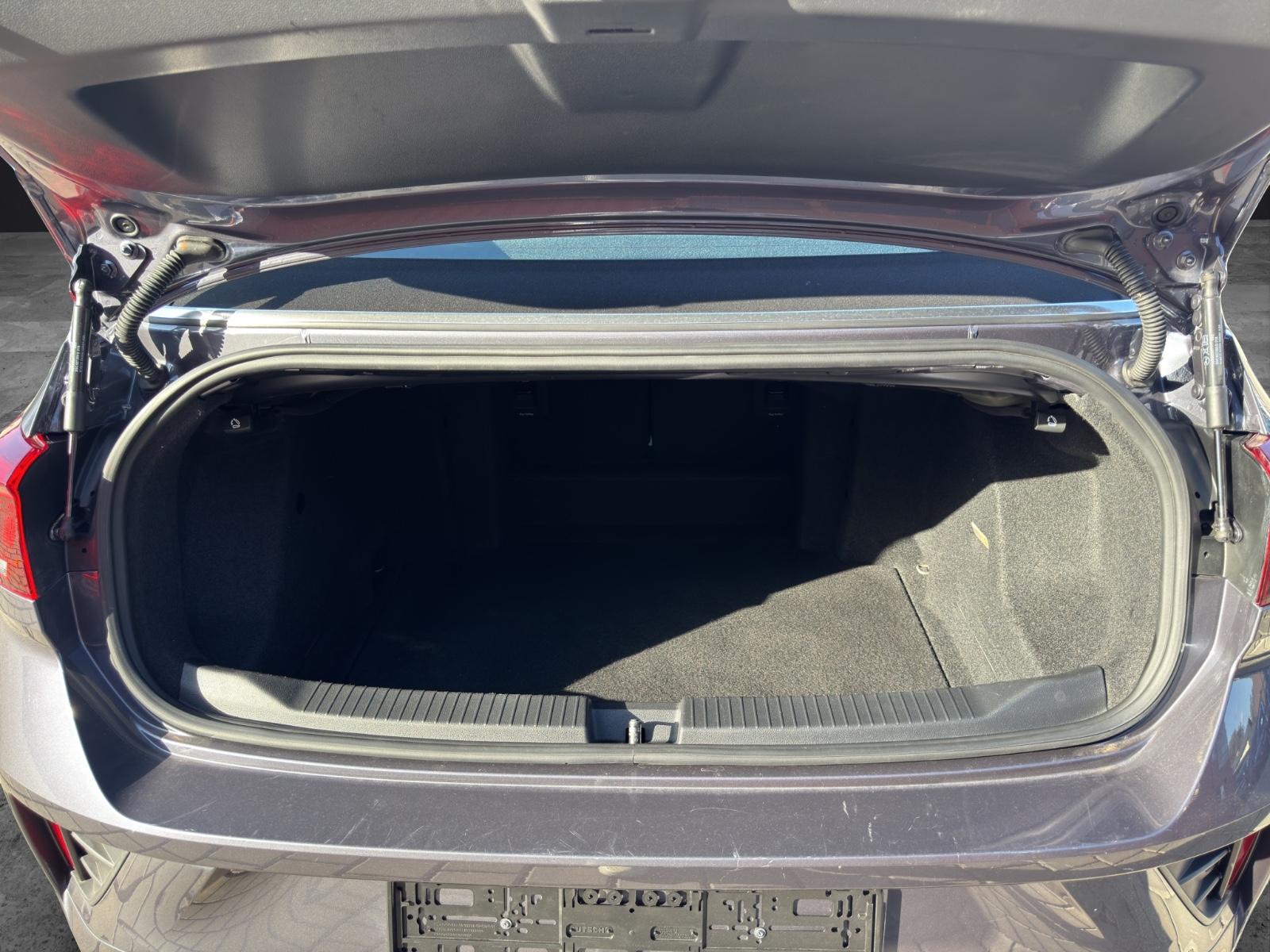 Volkswagen T-Roc Cabriolet R-Line Cam*Shzg*LED*Lkhzg, миниатюра 21