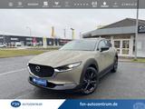 Mazda CX-30 2.5 140PS Homura LED Kamera NAVI - Mazda Neuwagen