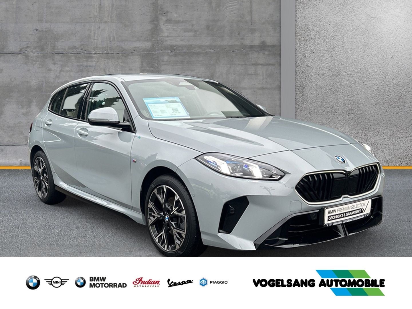 Fahrzeugabbildung BMW 120 iA M Sport Park-Assistent Navi groß Head-Up