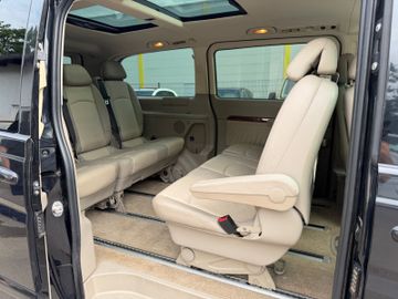 Mercedes Viano - 12