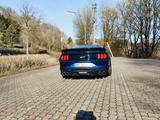 Ford Mustang V8 GT Autom. 520 PS, Umb. Shelby GT 500 - Ford Mustang: Coupé, Shelby Gt500