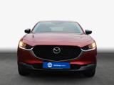 Mazda CX-30 2.5l e-SKYACTIVE-G 140PS Homura - Mazda CX-30 Gebrauchtwagen in Dresden