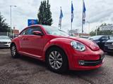 Volkswagen Beetle 2.0 TDI Automatik Design+Panoramadach - Volkswagen Beetle: TDI