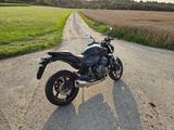 Honda gepflegte Hornet CB600 FA