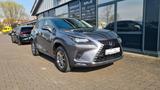 Lexus NX 300H - LEDER - LED - NAVI - 8 x ALU - - Lexus aus 2021